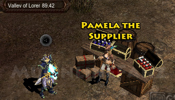 Pamela the Supplier