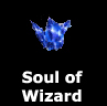 Soul of Wizard