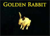 Golden Rabbit